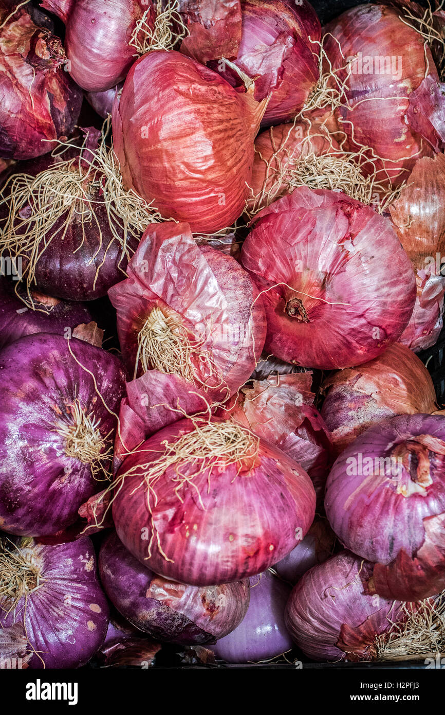 Italien Piemont Turin "Terra Madre - Salone del Gusto 2016 - Apulien, Cipolla Rossa di Acquaviva Stockfoto