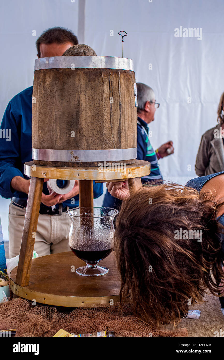 Italien Piemont Turin "Terra Madre - Salone del Gusto 2016 - Campania - Cetara - Colatura Sardellen Stockfoto