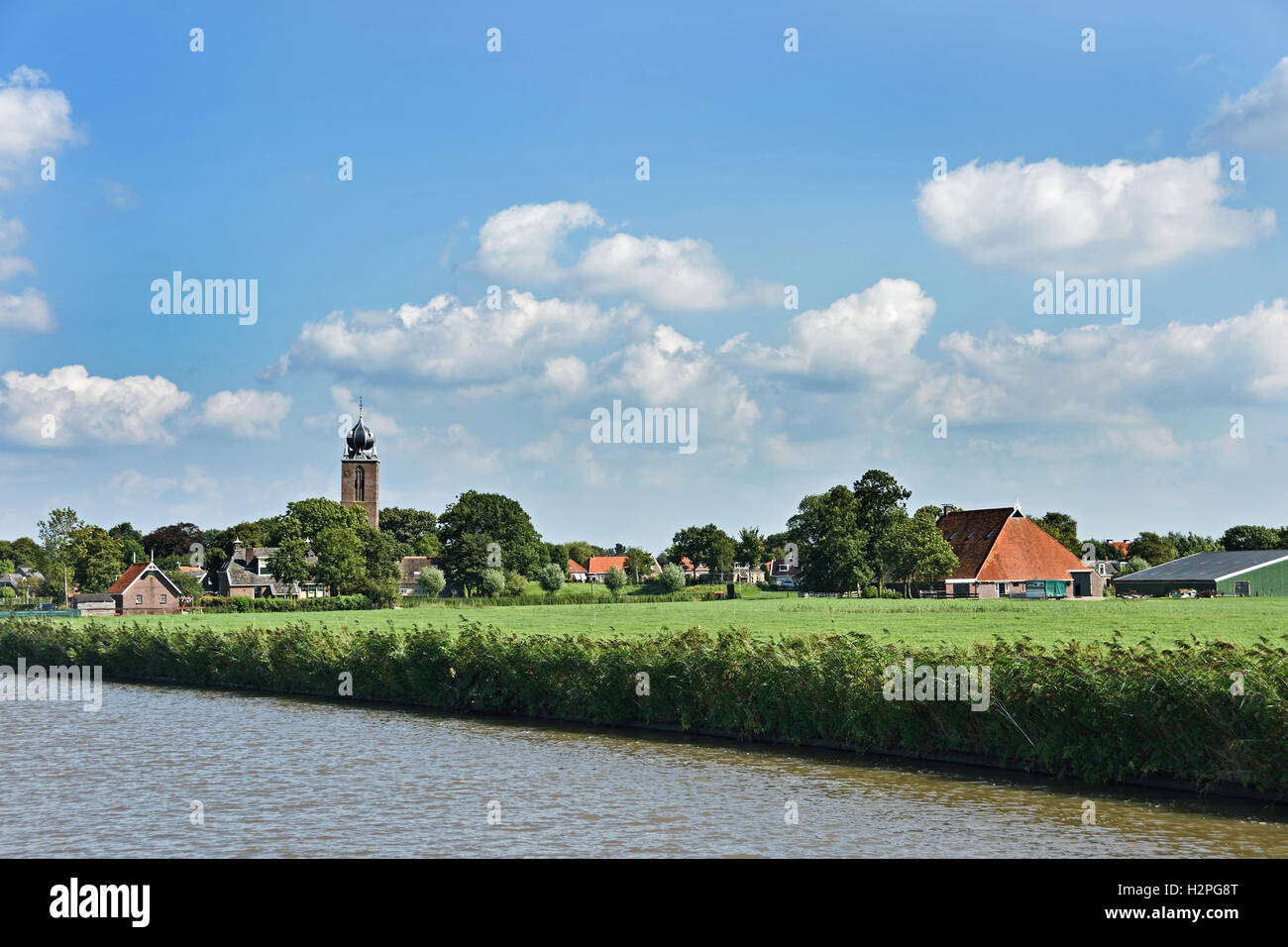 Deinun Grasgrün Bauernhof Landwirtschaft Landschaft Friesland Fryslan Niederlande Stockfoto