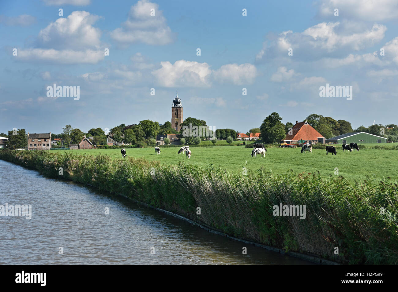 Deinun Grasgrün Bauernhof Landwirtschaft Landschaft Friesland Fryslan Niederlande Stockfoto