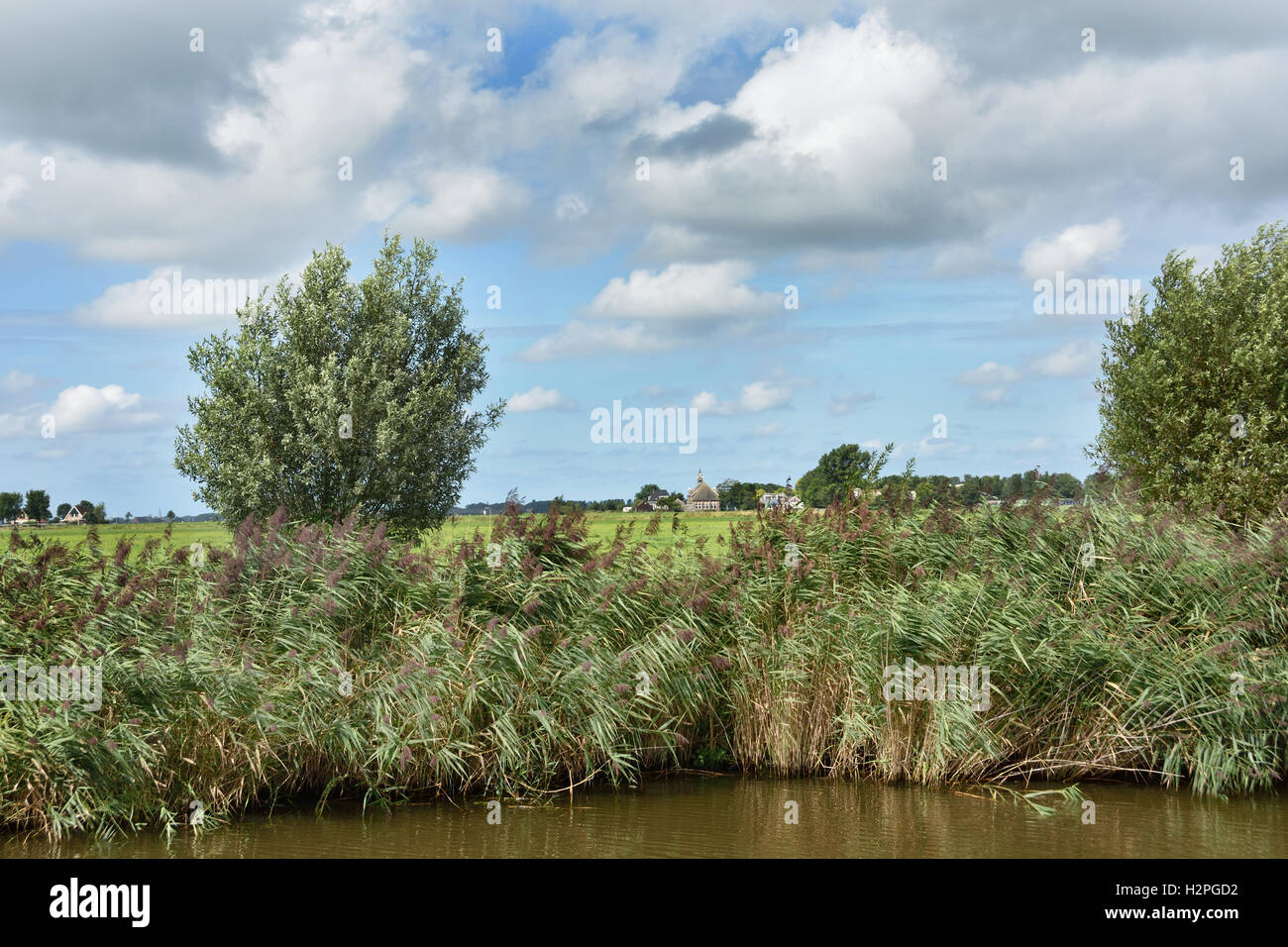 Farm Dokkumer EE Schilfwasser Grüngras Farm Farming Landscape Friesland Fryslan Niederlande Stockfoto