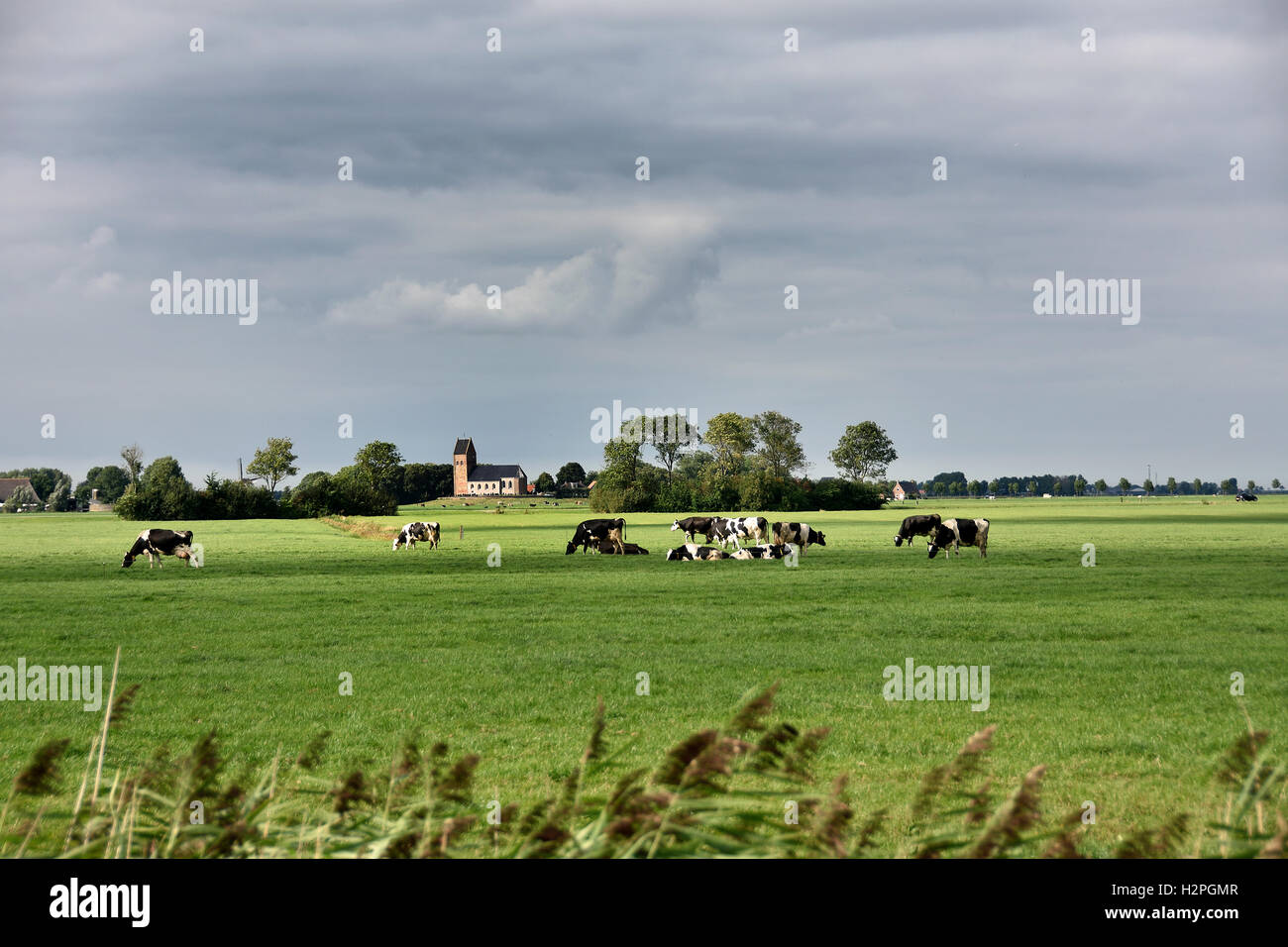 Kirche in der Nähe von Dokkum Green Grass Farm Farming Landschaft Friesland Fryslan Niederlande Stockfoto