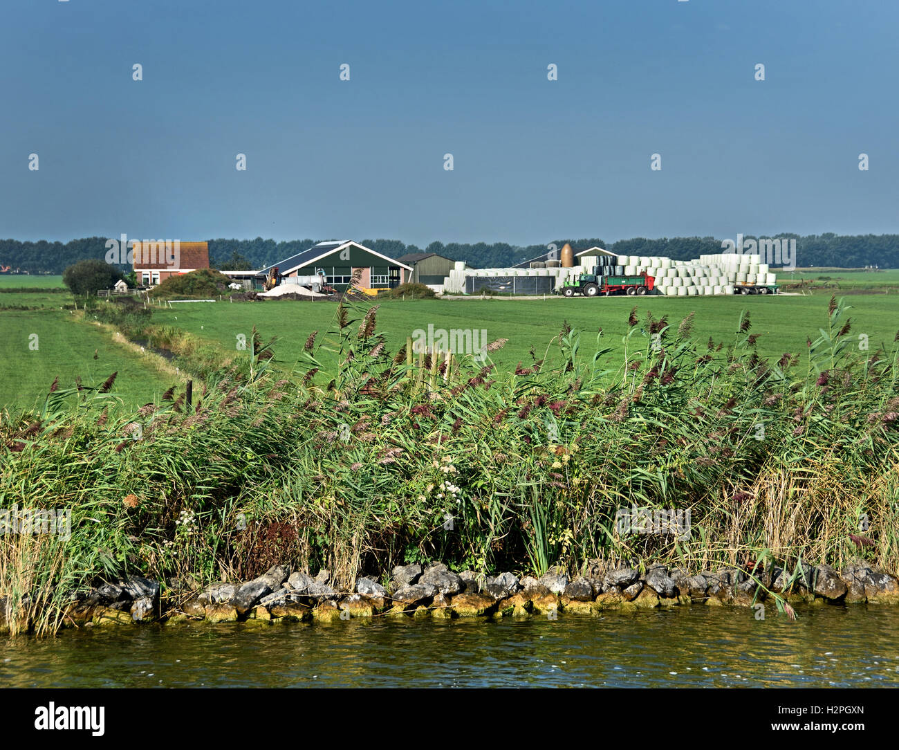 Moderner Bauernhof Wasser Grasgrün Bauernhof Landwirtschaft Landschaft Friesland Fryslan Niederlande Stockfoto
