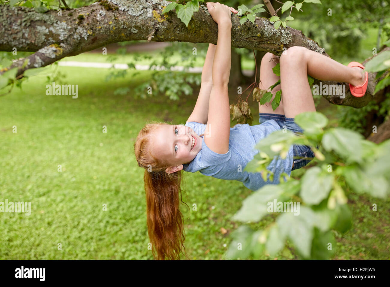 glückliche kleine Mädchen hängen am Baum im Sommerpark Stockfoto