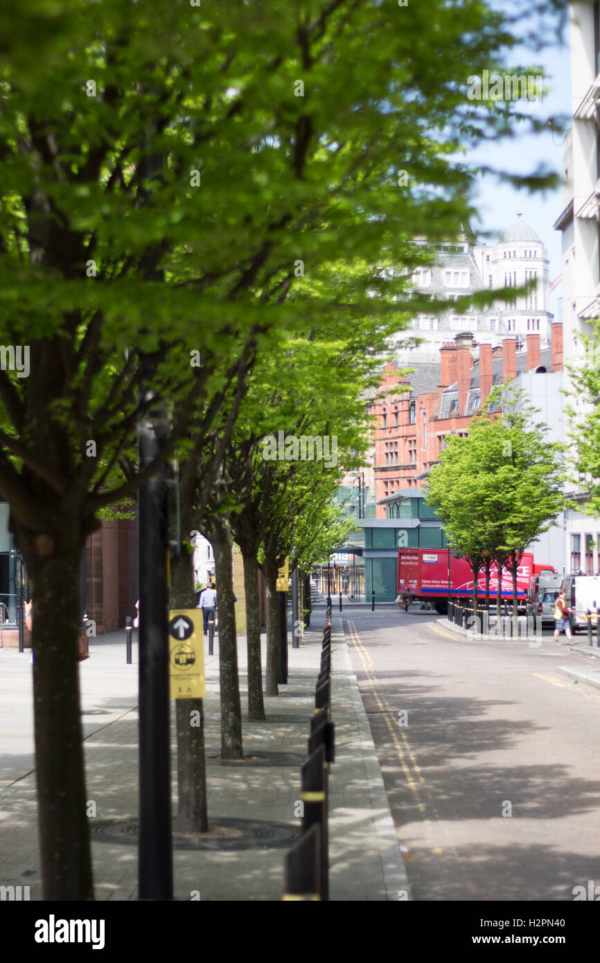 Eine typische Stadt Straße gesäumt von Bäumen an einem ruhigen Tag. Stockfoto