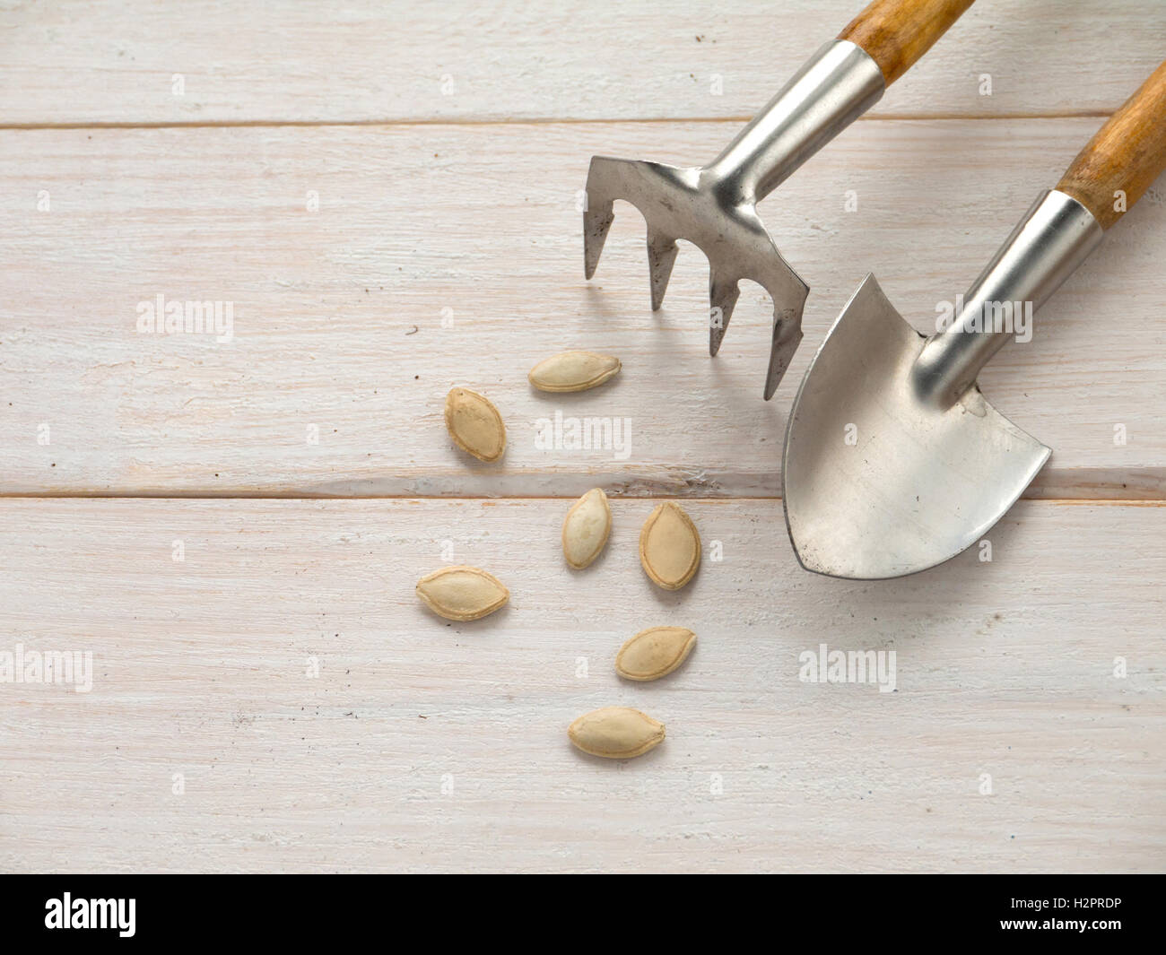 Miniatur, Schaufel, Rechen und Zucchini Samen auf dem hölzernen Hintergrund Stockfoto