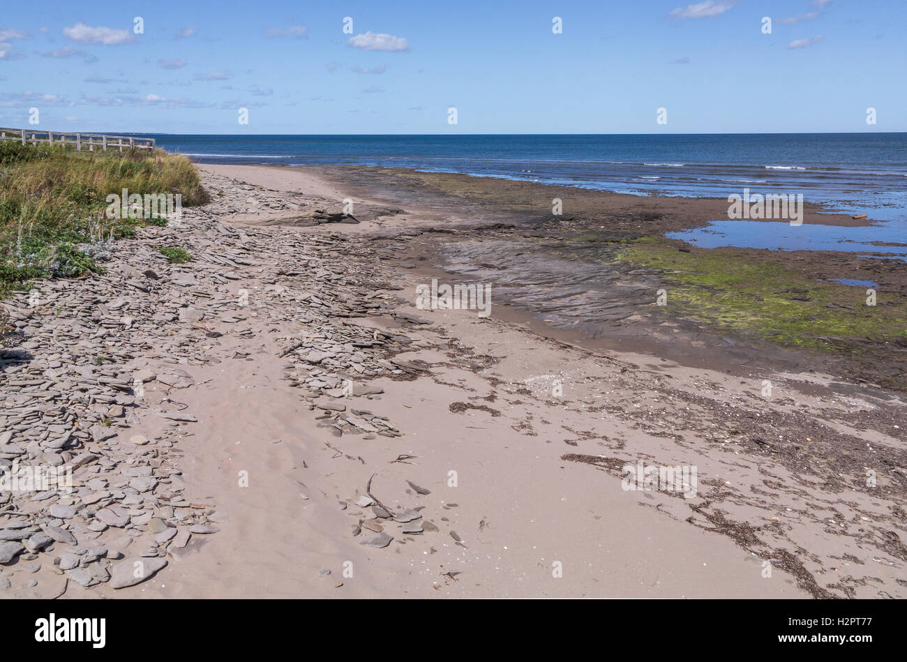 Strand bedeckt mit Sand, Schiefergestein und Vegetation Stockfoto