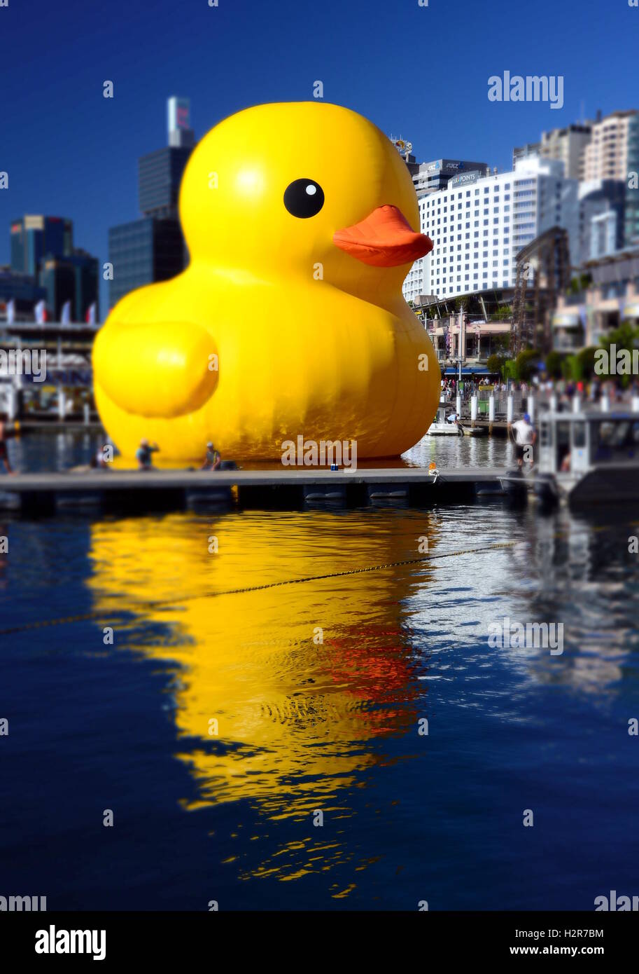 Sydney, Australien - 5. Januar 2013. Riesige Gummiente schwebt in Darling Harbour. Skulpturen des Künstlers Florentijin Hofman in un-Niederländisch Stockfoto