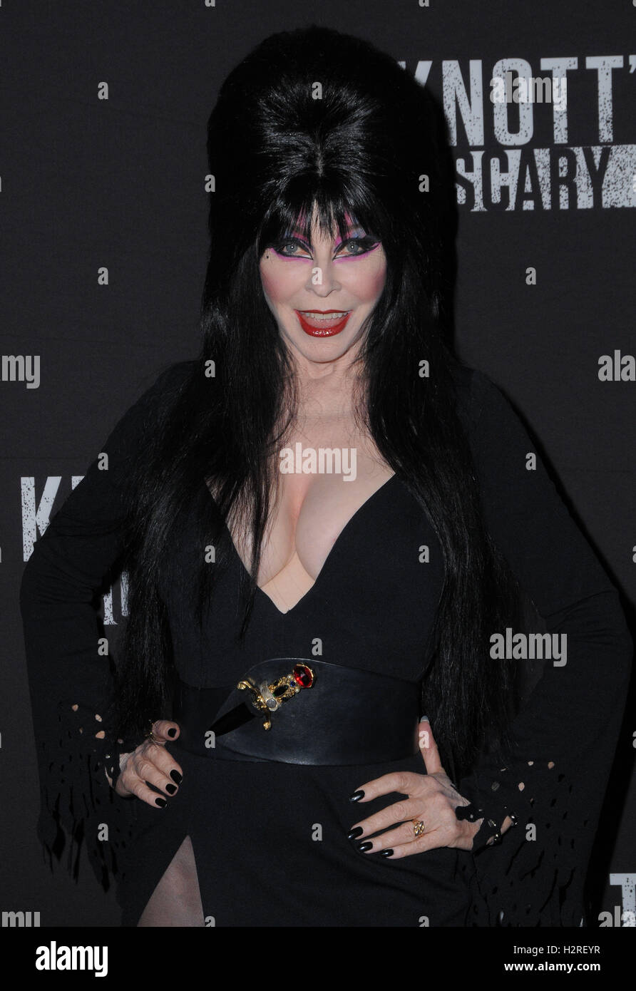 Buena Park, Kalifornien, USA. 30. September 2016. 30. September 2016 - Buena Park, Kalifornien. Elvira. Knotts Scary Farm Black Carpet Party statt auf Knotts Berry Farm. Bildnachweis: Birdie Thompson/AdMedia Credit: Birdie Thompson/AdMedia/ZUMA Draht/Alamy Live-Nachrichten Stockfoto