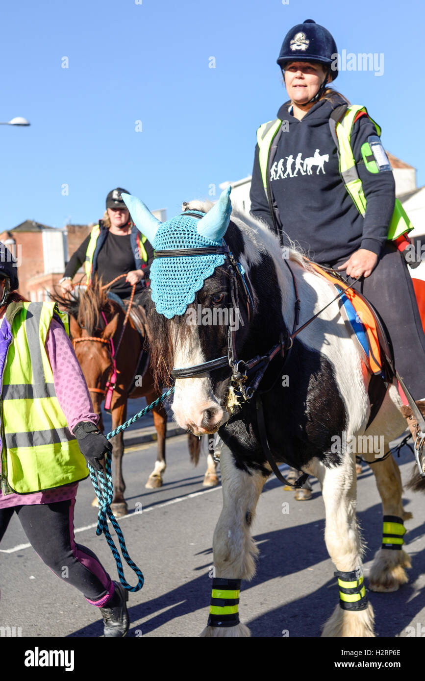 Nottingham, UK, 2. Oktober 2016: rund 150 Reiter nahmen Teil an einer Demonstration in Nottingham Stadtzentrum heute Morgen. Die machen es recht Kampagne soll das Bewusstsein für Fahrer über die Gefahren von zu schnell fahren oder laut rund um Pferde, die leicht erschreckt werden können. Sie möchten 15 km/h Höchstgeschwindigkeit auf öffentlichen Straßen vorbei, beim Reiter und ihre Pferde zu übergeben. Stockfoto