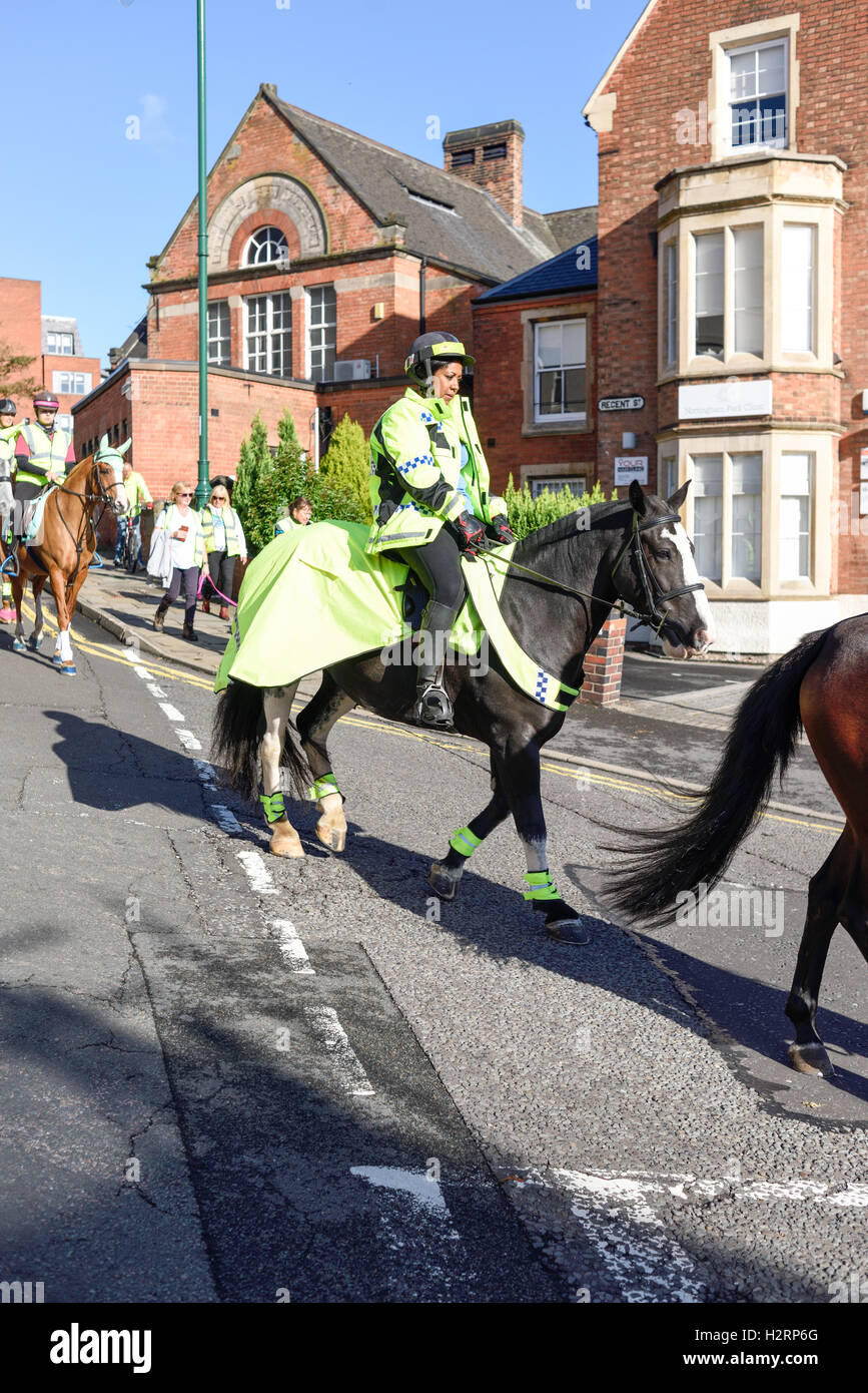 Nottingham, UK, 2. Oktober 2016: rund 150 Reiter nahmen Teil an einer Demonstration in Nottingham Stadtzentrum heute Morgen. Die machen es recht Kampagne soll das Bewusstsein für Fahrer über die Gefahren von zu schnell fahren oder laut rund um Pferde, die leicht erschreckt werden können. Sie möchten 15 km/h Höchstgeschwindigkeit auf öffentlichen Straßen vorbei, beim Reiter und ihre Pferde zu übergeben. Stockfoto
