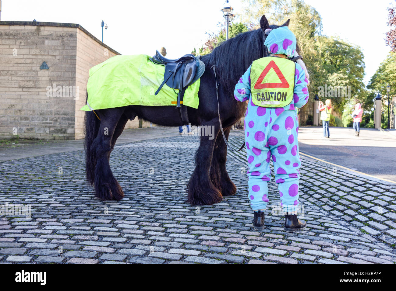 Nottingham, UK, 2. Oktober 2016: rund 150 Reiter nahmen Teil an einer Demonstration in Nottingham Stadtzentrum heute Morgen. Die machen es recht Kampagne soll das Bewusstsein für Fahrer über die Gefahren von zu schnell fahren oder laut rund um Pferde, die leicht erschreckt werden können. Sie möchten 15 km/h Höchstgeschwindigkeit auf öffentlichen Straßen vorbei, beim Reiter und ihre Pferde zu übergeben. Stockfoto