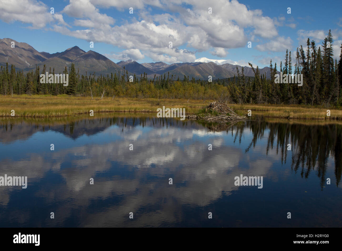 Ruhige Szene in Wrangell St. Elias National Park and Preserve Stockfoto