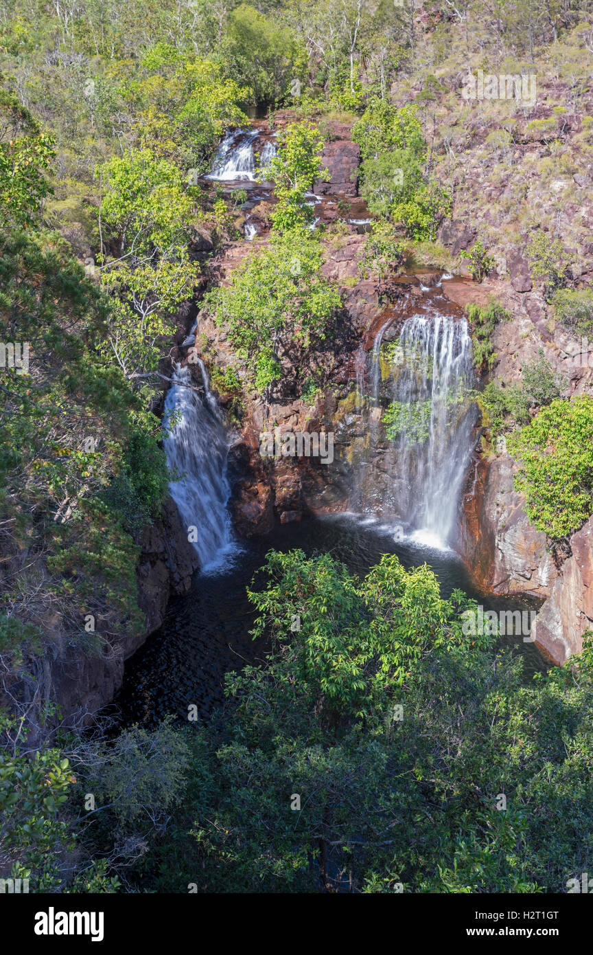 Florence Falls im Litchfield National Park, Northern Territory, Australien. Stockfoto