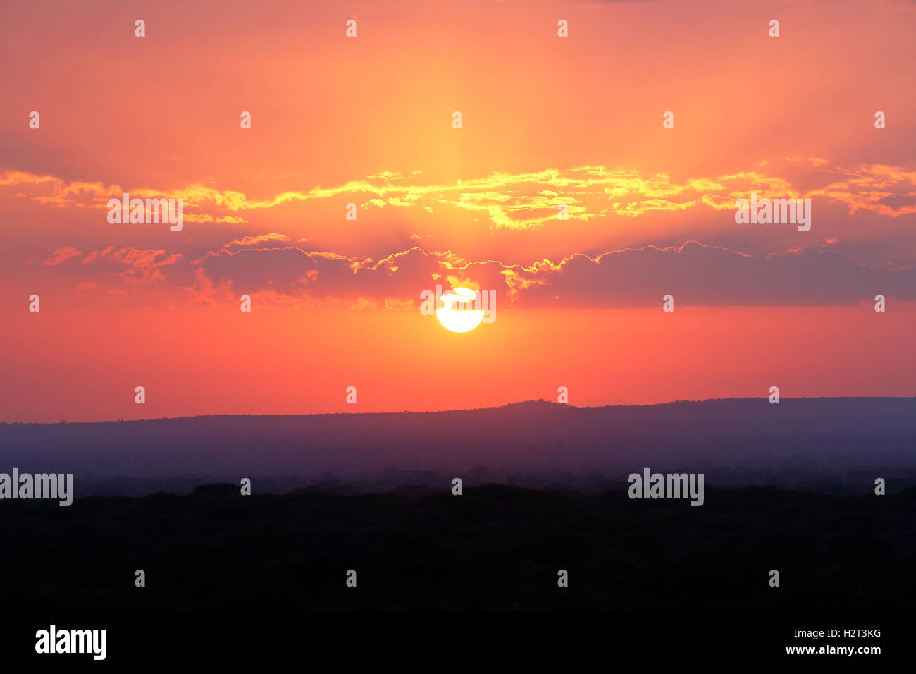 Sunrise, Tarangire Nationalpark, Tansania Stockfoto