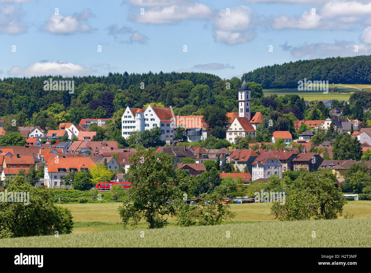 Aulendorf mit Schloss und Pfarrkirche St. Martin, Oberschwaben, Swabia, Baden-Württemberg, Deutschland Stockfoto