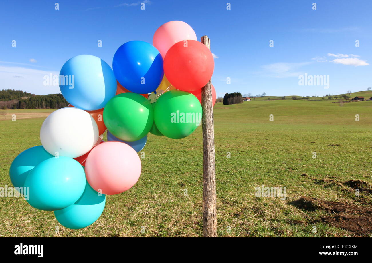 Viele bunte Ballons in einer grünen Landschaft, Allgäu Stockfoto