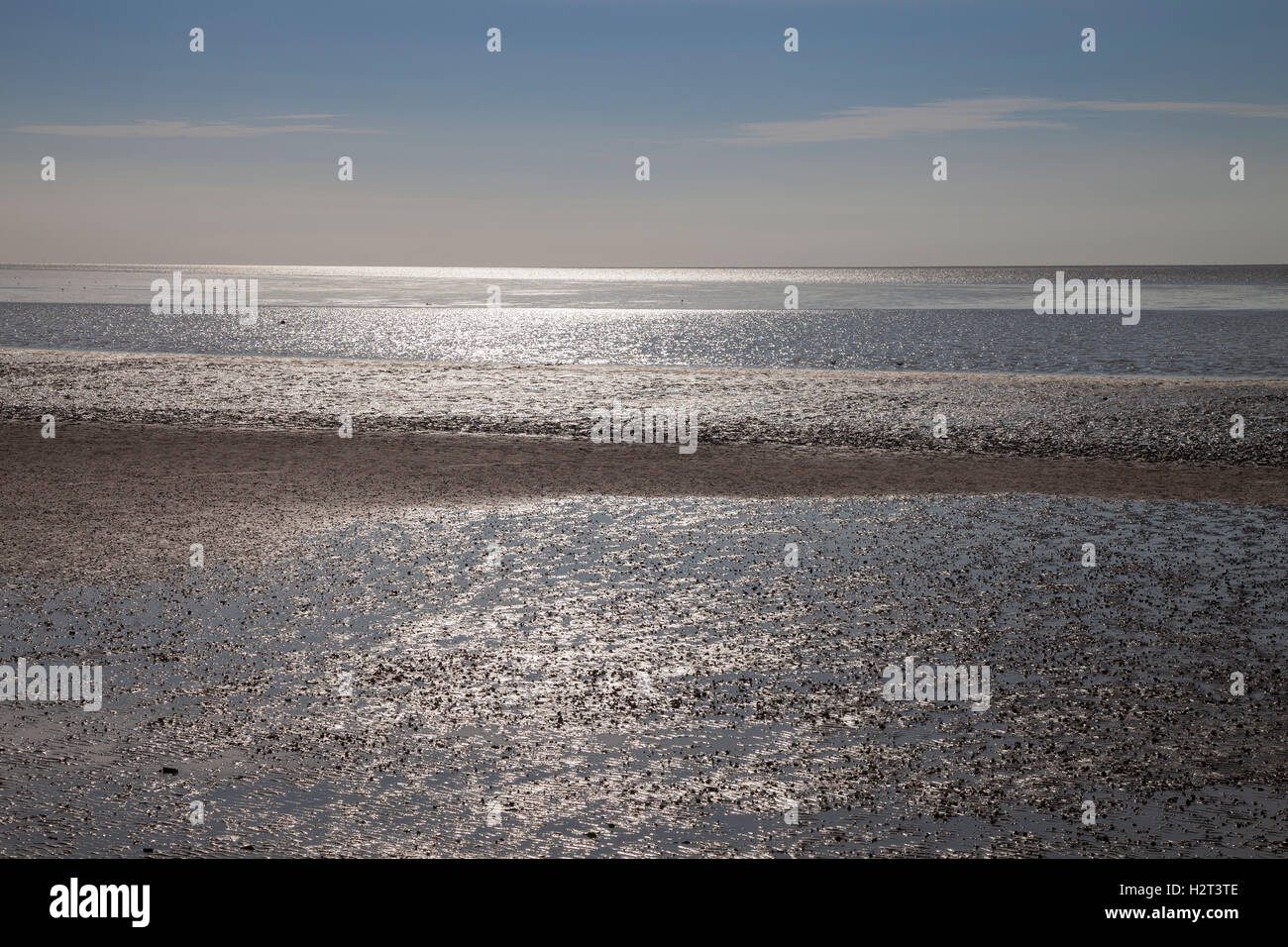 Schlamm-flach, Ebbe, Lower Saxon Nationalpark Wattenmeer, Ostfriesland, Nordsee, Niedersachsen, Deutschland Stockfoto