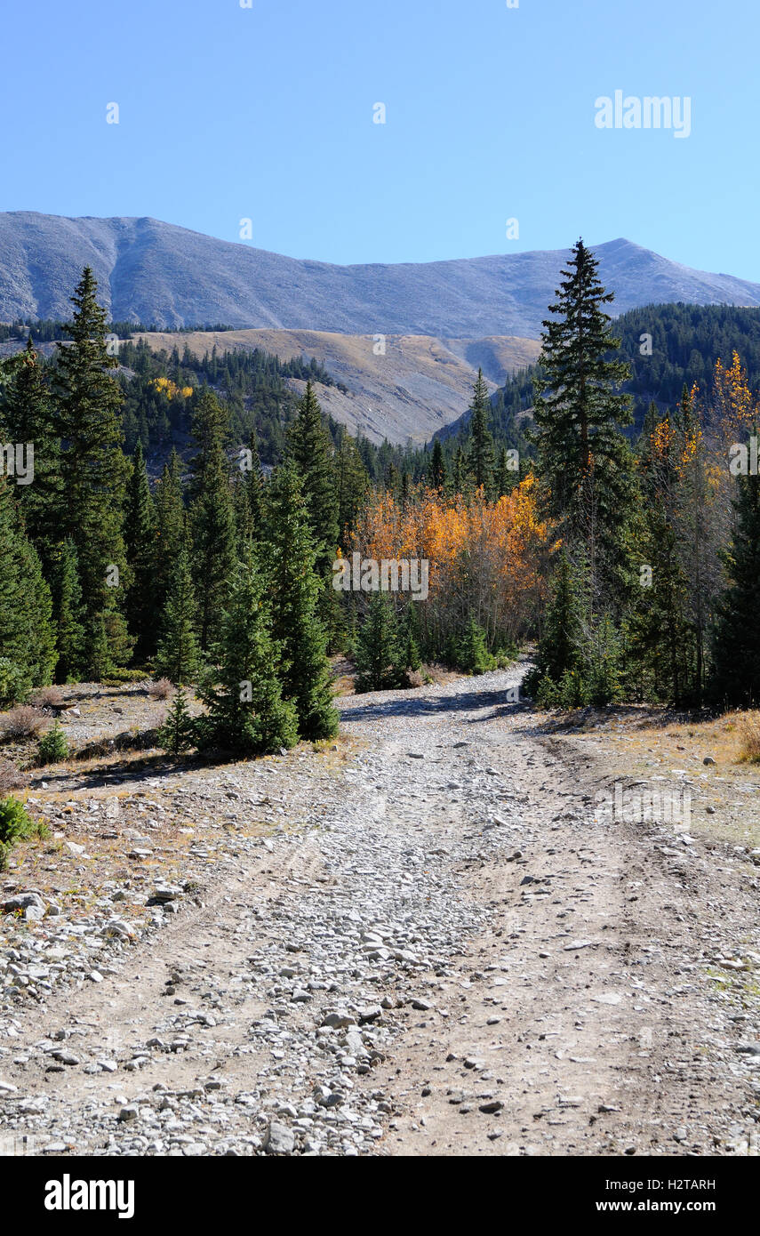 Wanderweg in der Nähe von Mt Antero in Chaffee County Colorado Colorado.  Auch bekannt als Baldwin Gulch Road, vier Rad fahren nur Stockfoto