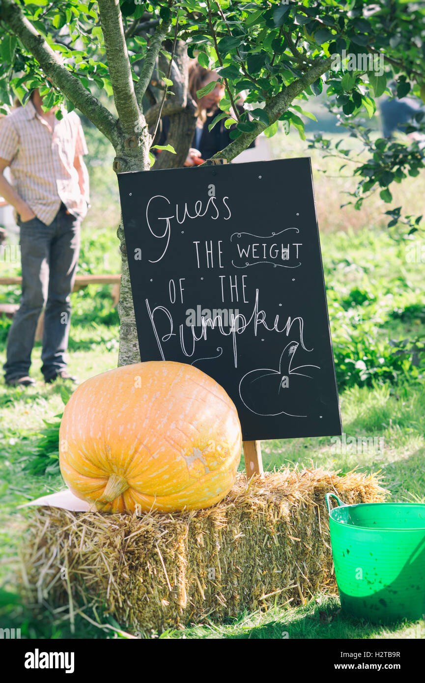 "Schätze das Gewicht des Kürbis' auf einer Kreidetafel Zeichen an Dalyseford Herbst zeigen geschrieben. England Stockfoto