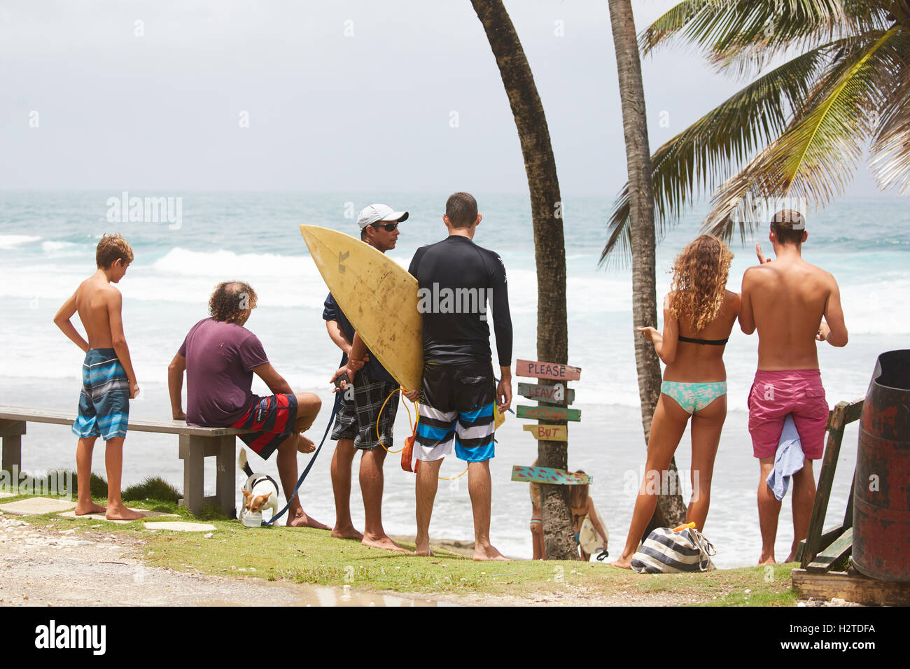 Barbados Atlantikküste Bathsheba Surfer Touristen Jugendliche Surfen Surfer Exemplar Surfbretter warten Ilifestyle gesunde ho Stockfoto
