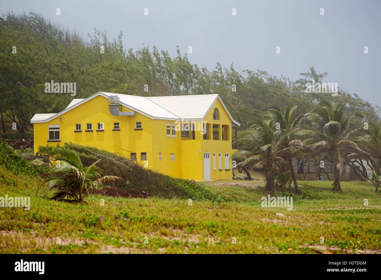 Barbados Atlantikküste Barclays Park Seen gelbe großes Haus Hund Strandwanderer Sand hell Farbe Farbe sa spazieren gehen Stockfoto