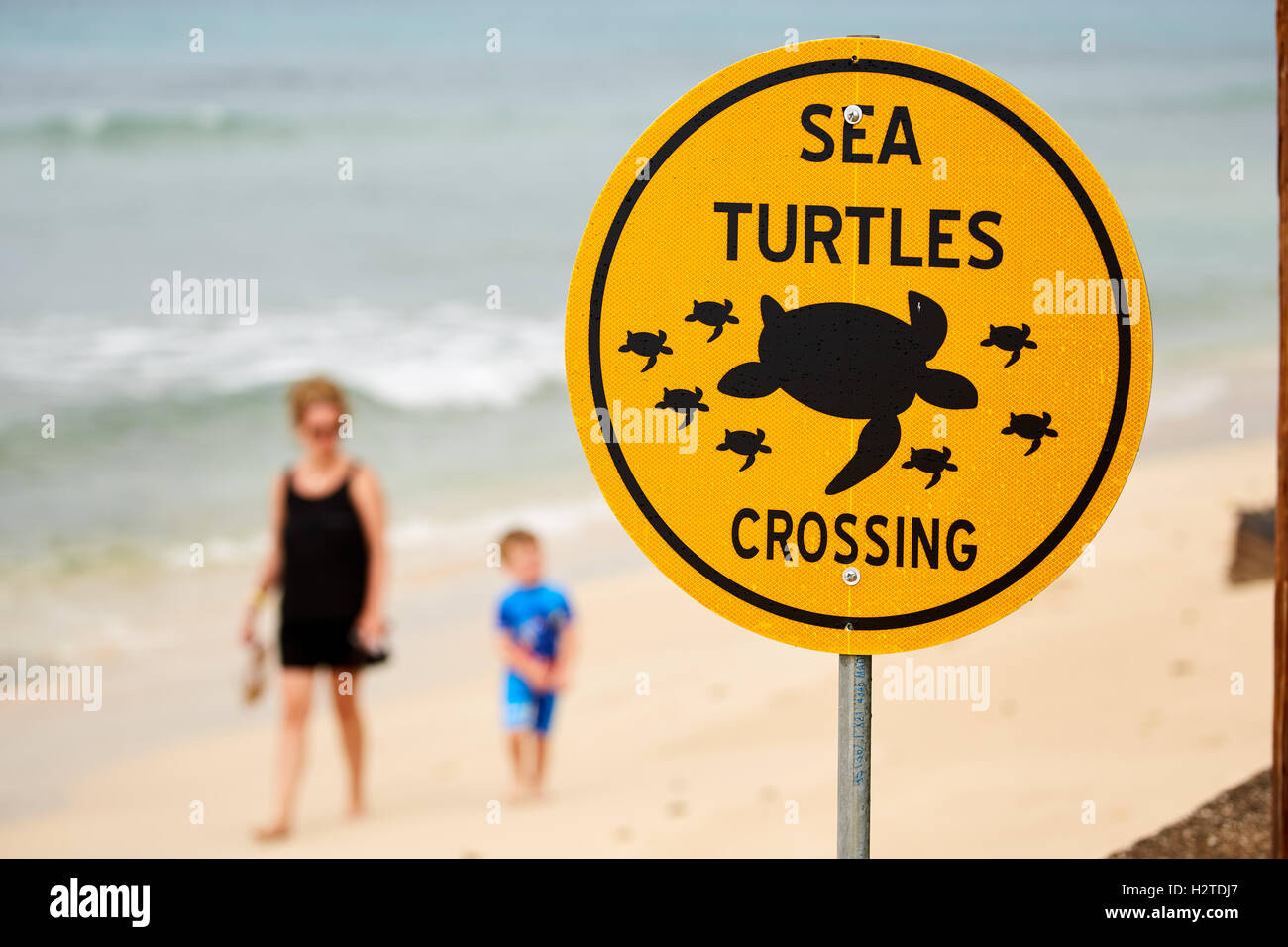 Barbados Meeresschildkröten crossing Schild Schilder Warnung Straßenverkehrsordnung offizielle Küste Strand Projekt Straße Seite Vorsicht fahren langsam co Stockfoto