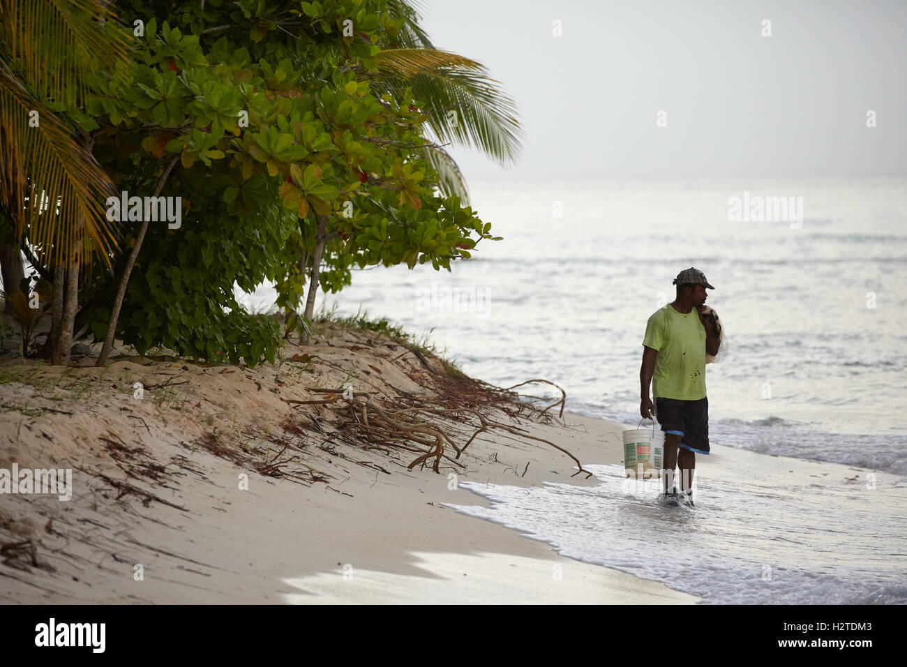 Barbados Fischer enthäuten Motorrad, das Hastings Strand Hotel Savannah einheimischen Fischer arbeiten Fisch Sand Bäume net Palmblätter hand ich Stockfoto