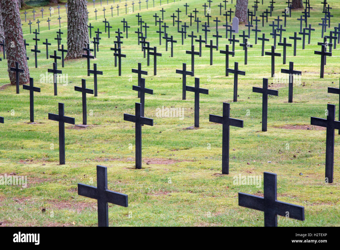La Nécropole Allemande du Linge Hohrod, WWI deutschen Soldatenfriedhof, Vosges Berge, Elsass, Frankreich Stockfoto