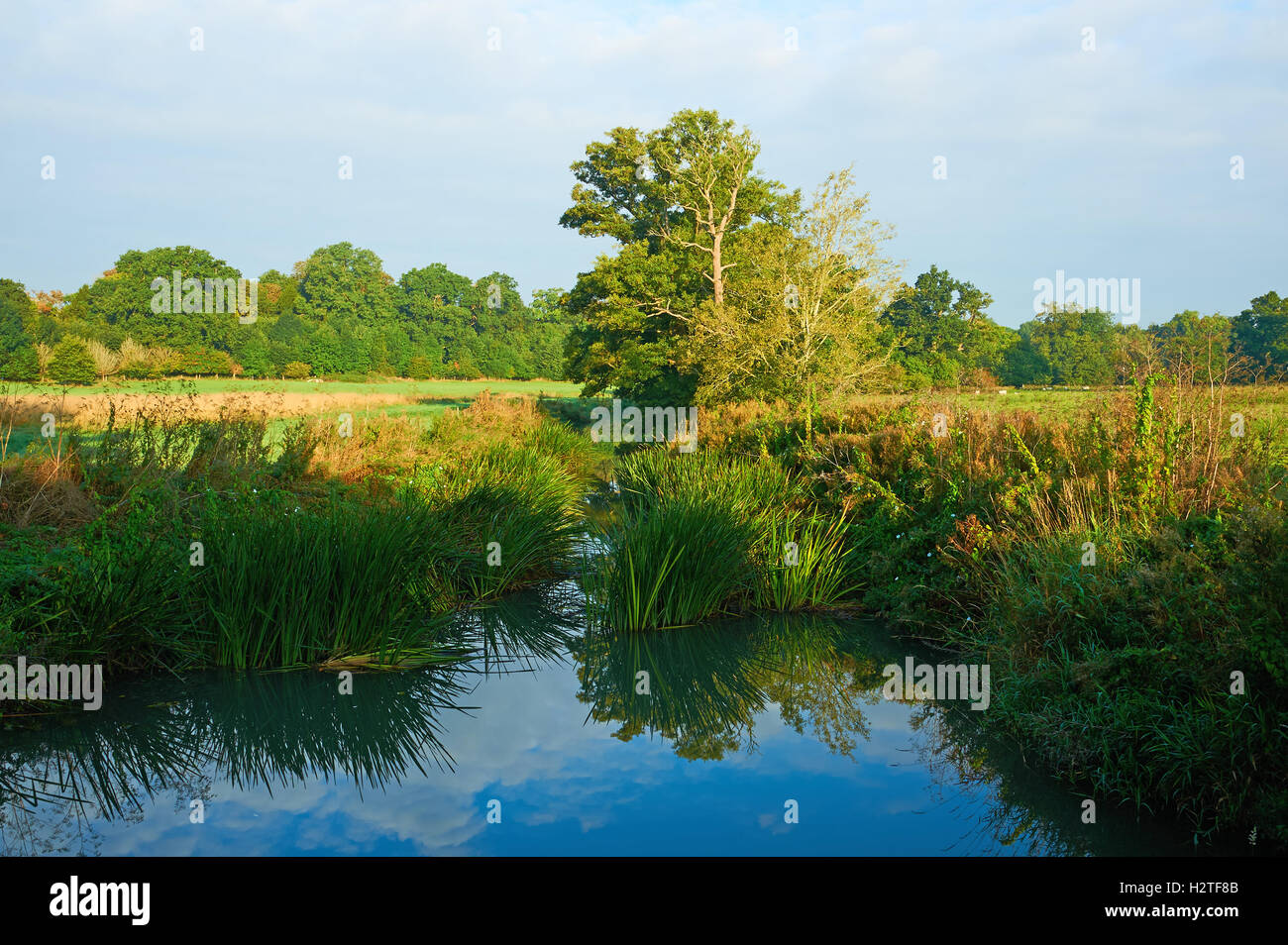 Herbstliche frühmorgens Reflexionen in den Fluss Stour im Süden Warwickshire Stockfoto