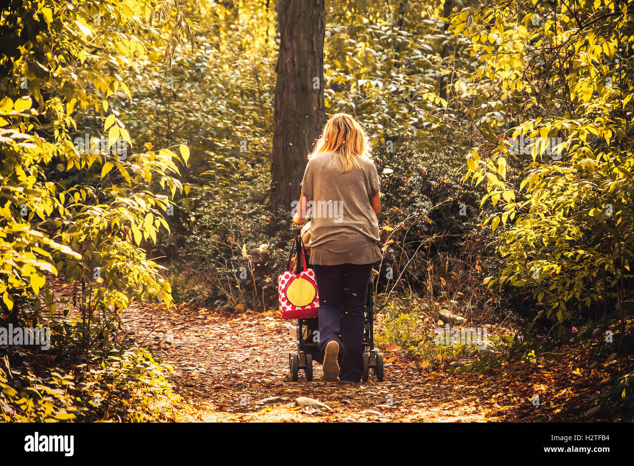 blonde Frau zurück schieben Kinderwagen Park Natur Herbst Stockfoto