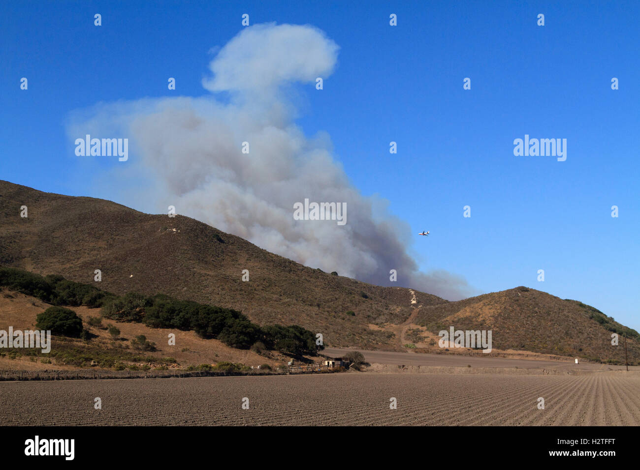 Rauch aus dem Canyon-Feuer, Lompoc, Kalifornien Stockfoto