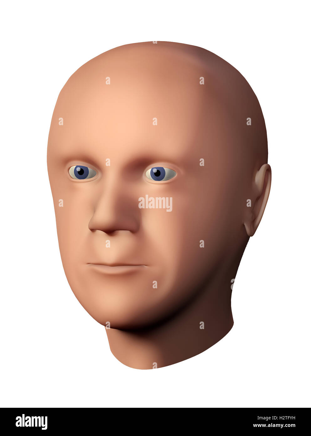 3D-Rendering eines männlichen Kopfes ohne Haare auf weißen Hintergrund isoliert Stockfoto