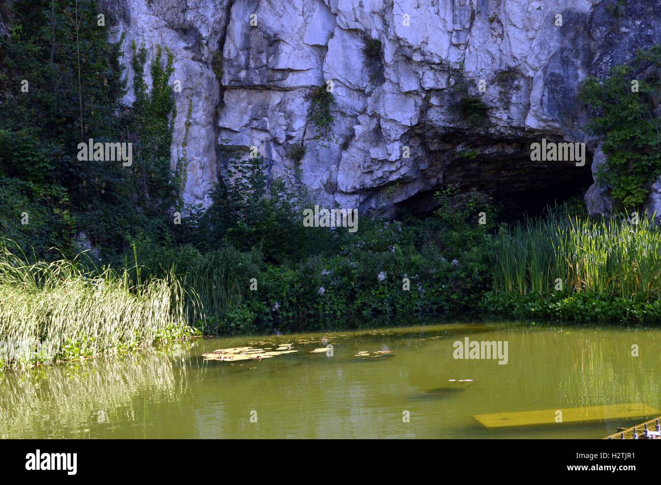 Höhle mit einem Zierteich mit einem schattigen Wasser, Schilf und Seerosen. Stockfoto