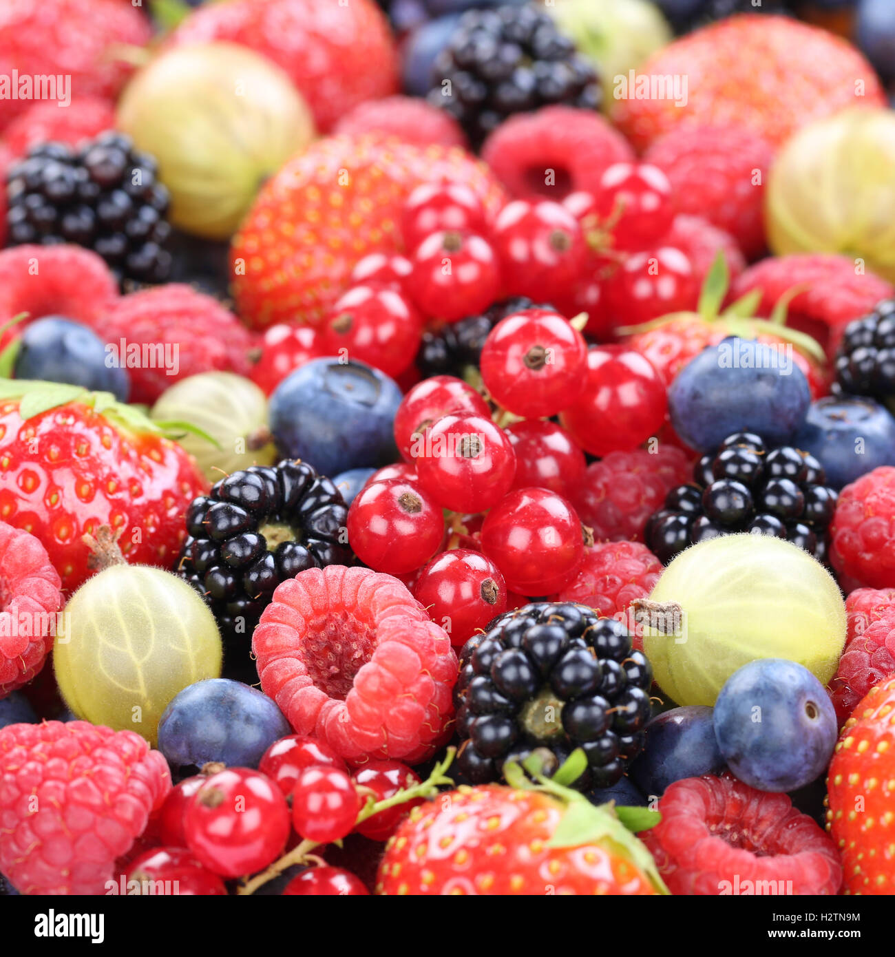 Berry Früchte frischen Bio-Beeren Früchte Sammlung Erdbeeren, Heidelbeeren Himbeeren, rote Johannisbeeren Stockfoto