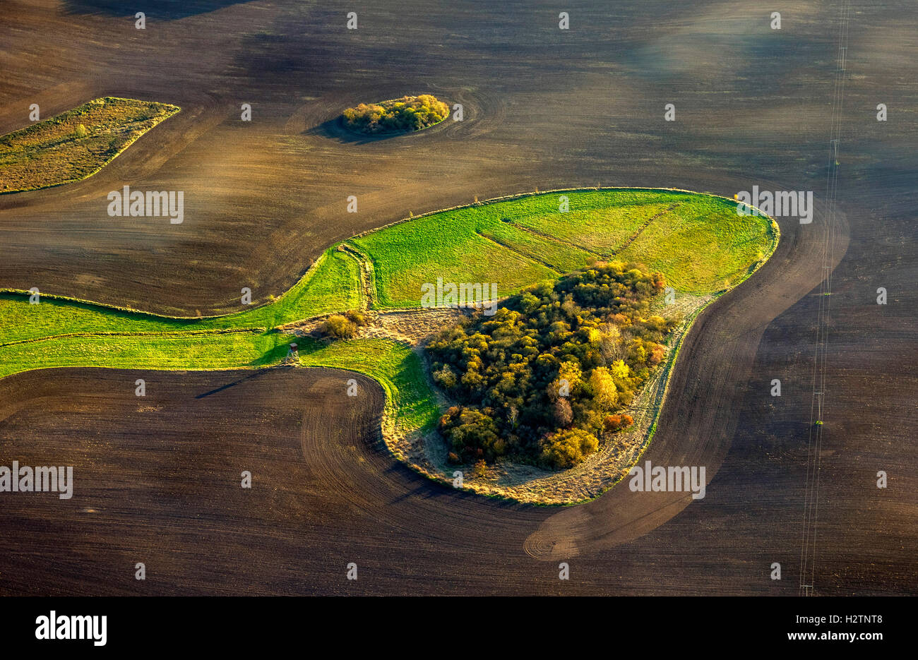 Luftbild, Felder, Hektar mit geschlossenen Wiese in Form von einem Hundekopf Snoopy, Hohenzieritz, Mecklenburg Tiefland Stockfoto