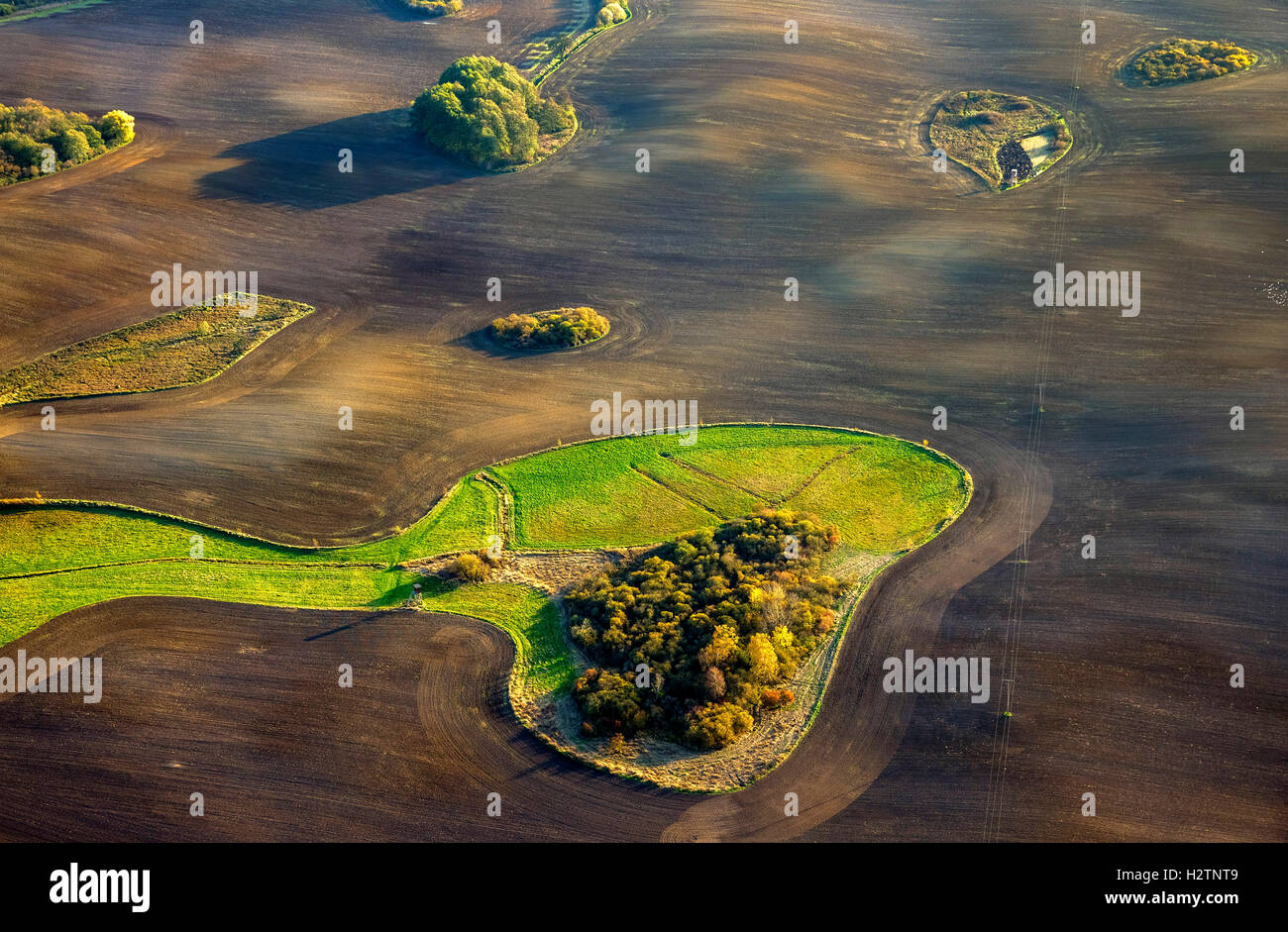 Luftbild, Felder, Hektar mit geschlossenen Wiese in Form von einem Hundekopf Snoopy, Hohenzieritz, Mecklenburg Tiefland Stockfoto