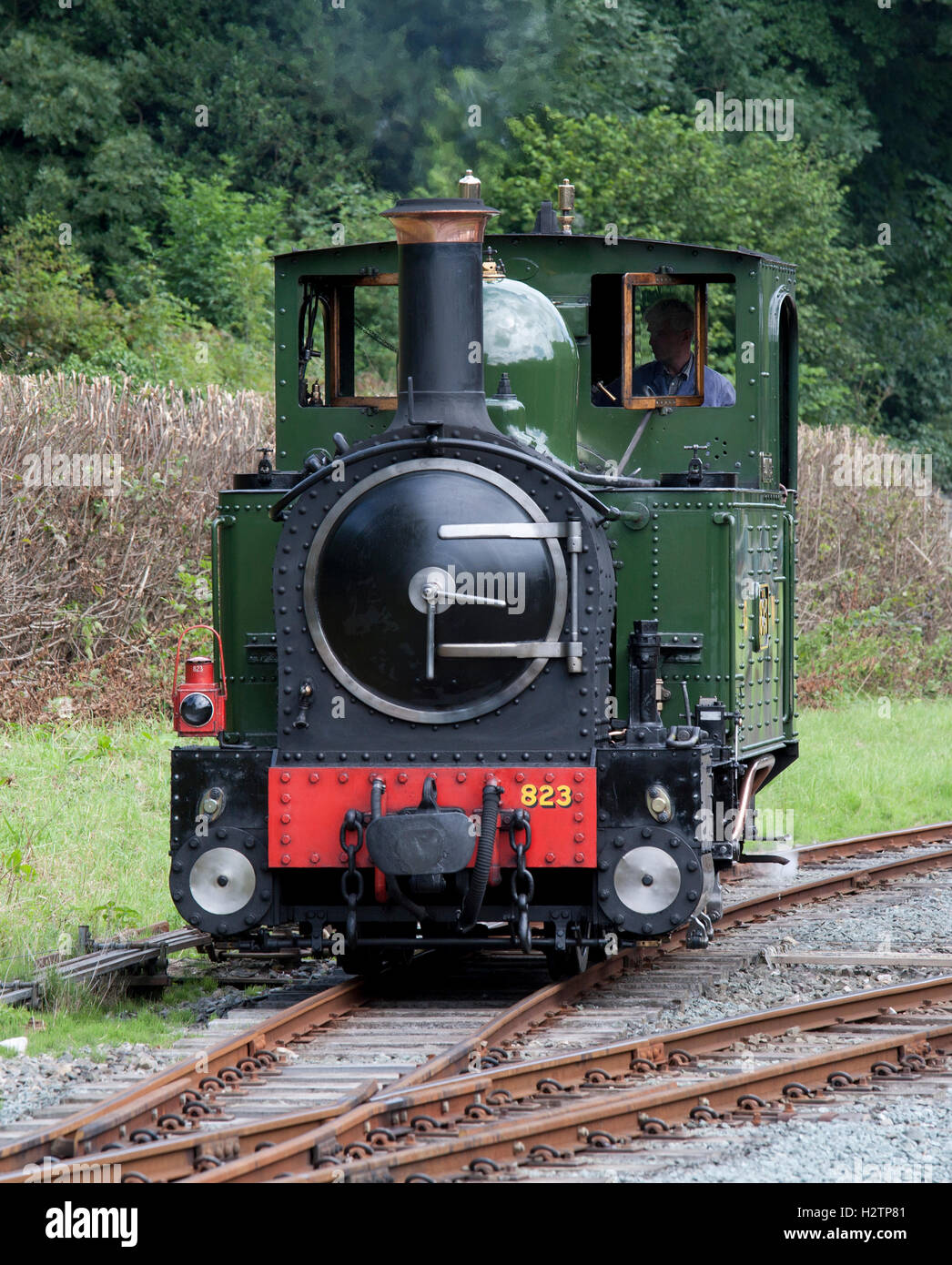 Welshpool und Llanfair Railway Motor Gräfin an Raven Square Station, Welshpool Stockfoto