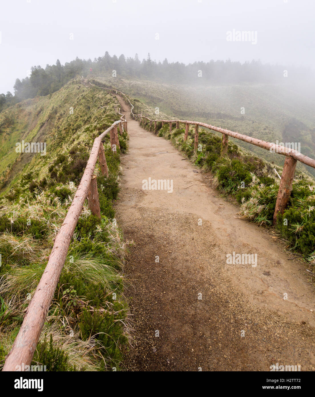 Langer Weg in die Berge-Nebel. Schimpfte Waldweg von einem Aussichtspunkt in den umliegenden Wäldern von Nebel verdeckt Stockfoto