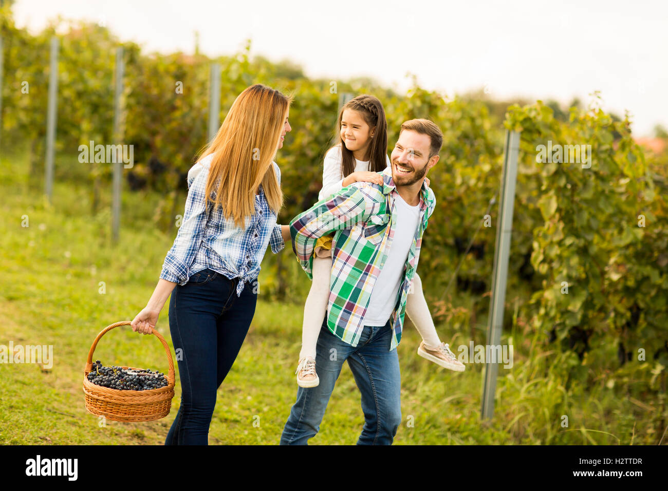 Happy Family im Weinberg am sonnigen Tag Stockfoto