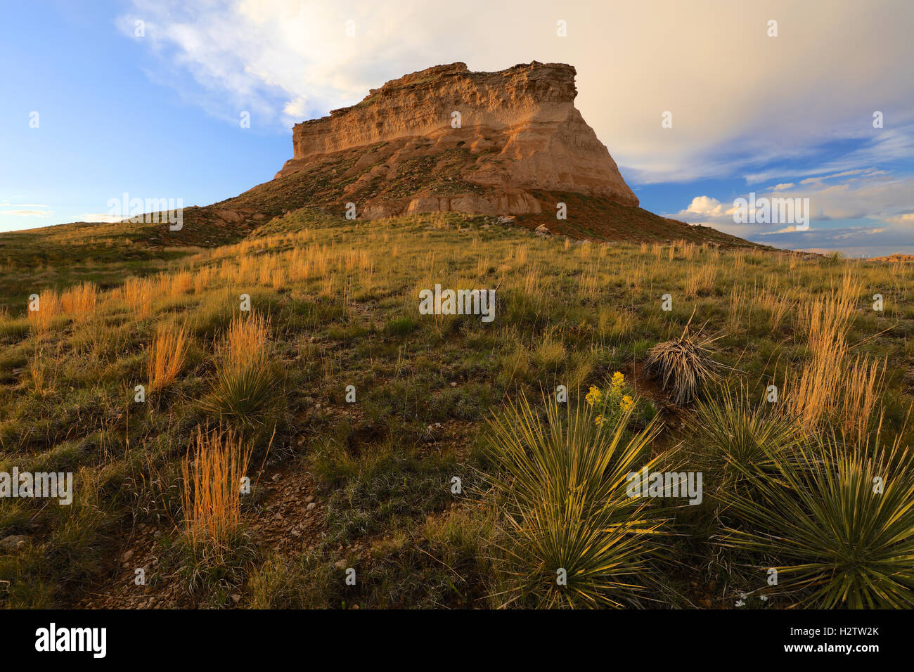 Pawnee Buttes Great Plains Colorado Prairie Stockfoto