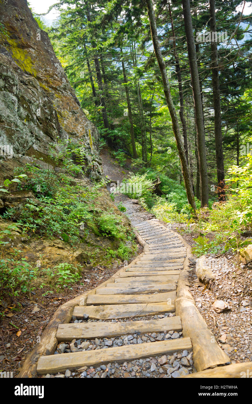 Holz und Kies Schritte auf den renovierten Alaun Höhle Spuren in den Great Smoky Mountains National Park Stockfoto