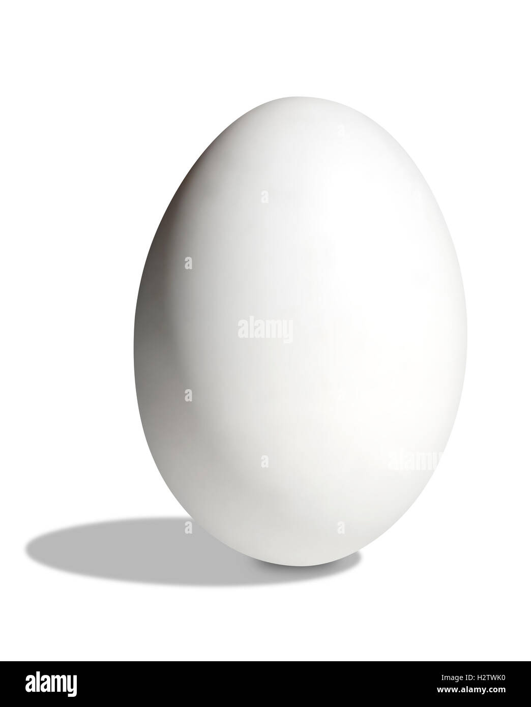 Weißes Ei auf weißem Hintergrund Stockfoto