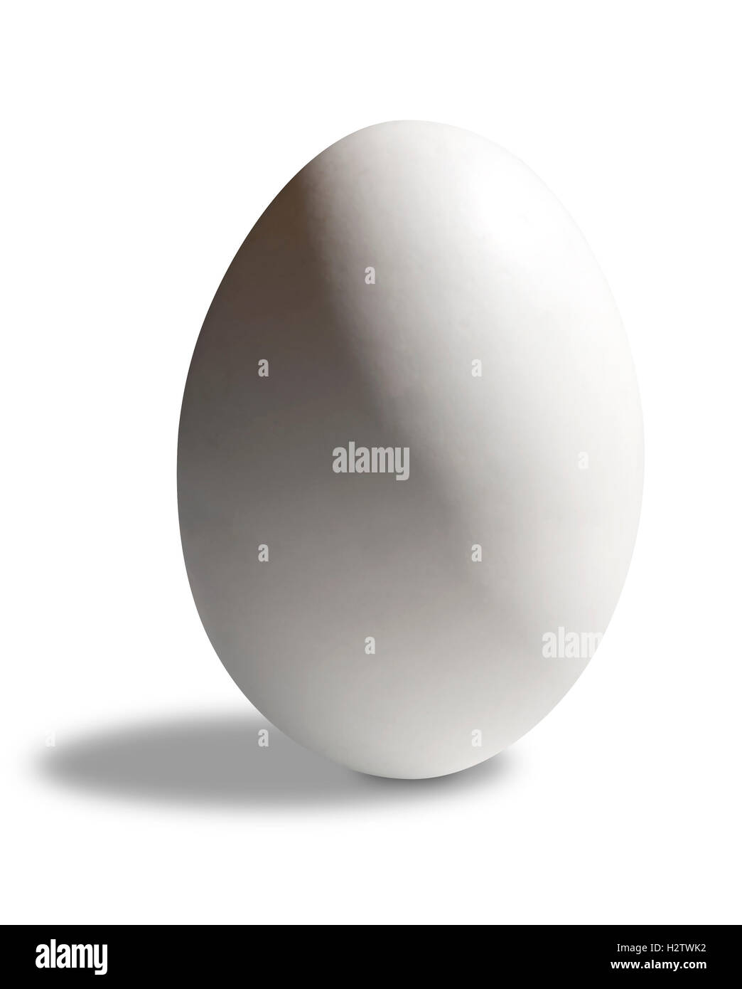 Weißes Ei auf weißem Hintergrund Stockfoto