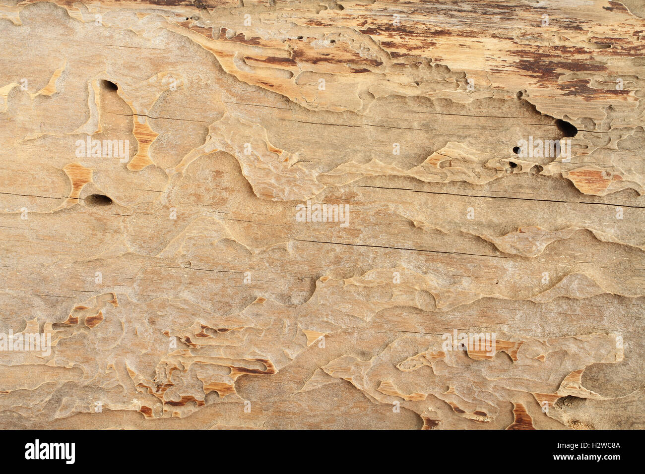 Textur - zünden alte braune korrodierte Holz Stockfoto