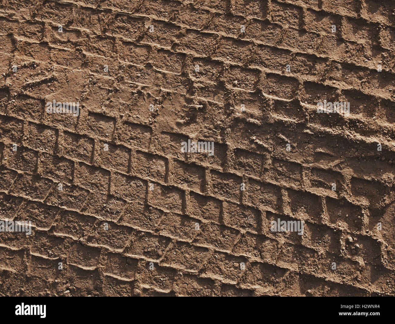 Verbrechen-Szene-Reifenspuren Stockfoto