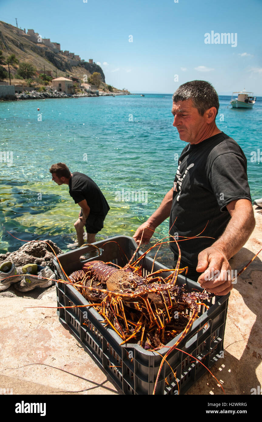 Fischer landen frisch gefangen Hummer auf Limeni, auf der Halbinsel Mani, Lakonien, südlichen Peloponnes, Griechenland Stockfoto