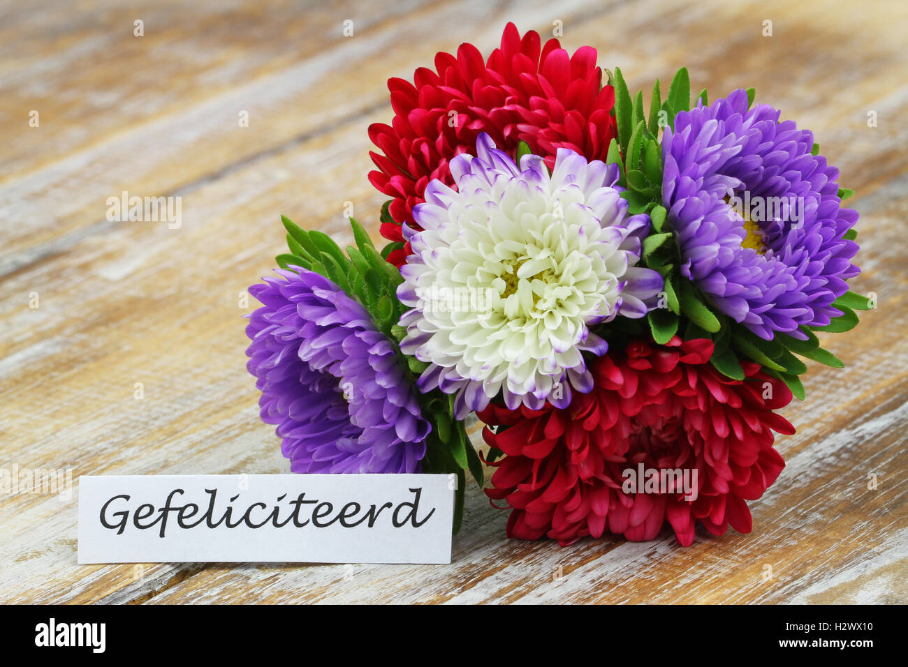 Gefeliciteerd (Herzlichen Glückwunsch in niederländischer Sprache) mit bunten Aster bouquet Stockfoto