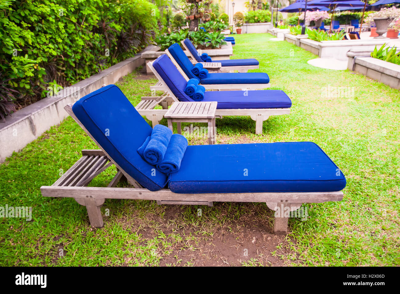 Blaue Chaise lounges in der Nähe von Pool im Luxus-Resort auf dem grünen Rasen Stockfoto