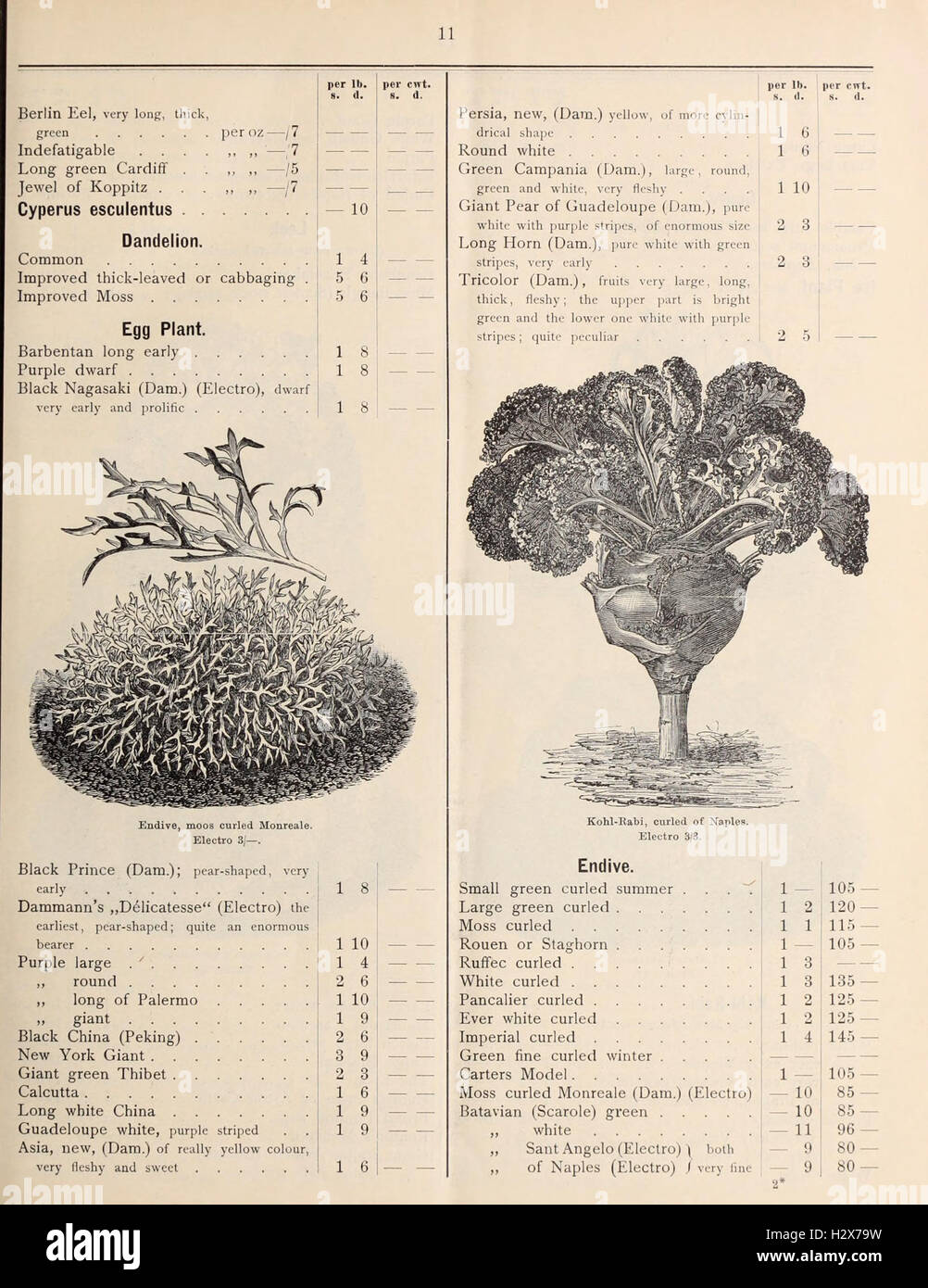 Diese Preisliste bietet einen Überblick über verschiedene zum Verkauf stehende Samen und Pflanzen, einschließlich Gemüse, Blumen, Bäume und andere Arten. mit Schwerpunkt auf italienischen Obstbäumen und Nadelbäumen. Stockfoto